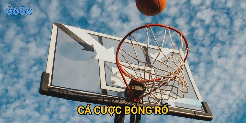 Làm sao để cá cược bóng rổ tại 6686 mang lại lợi nhuận cao?
