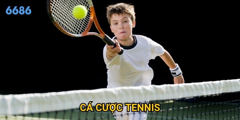 Vì sao cá cược tennis được xem là môn dễ thắng nhất tại 6686?