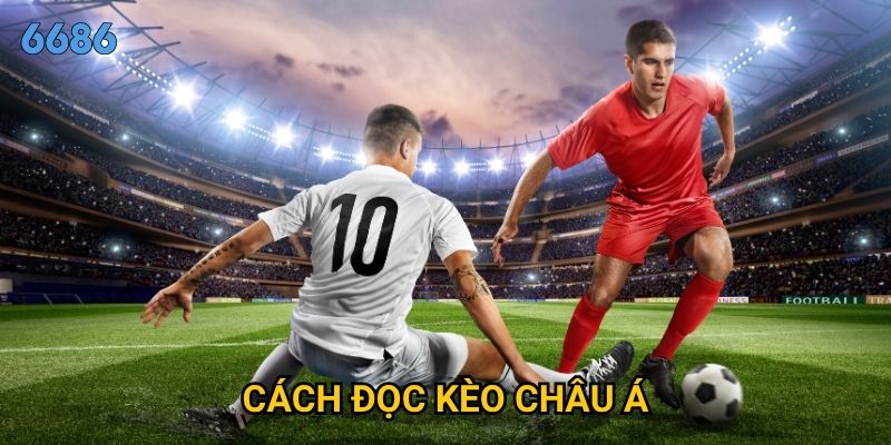 Cách đọc kèo châu Á chính xác tại 6686?