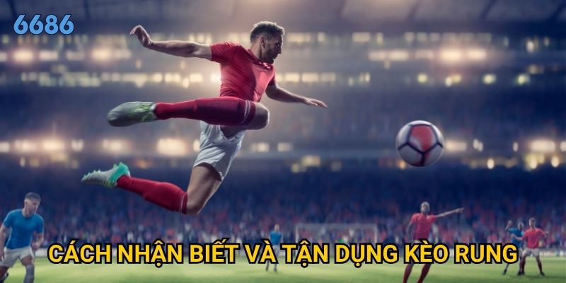 Kèo rung là gì và tại sao lại xuất hiện thường xuyên tại 6686? 3 Cách nhận biết và tận dụng kèo rung