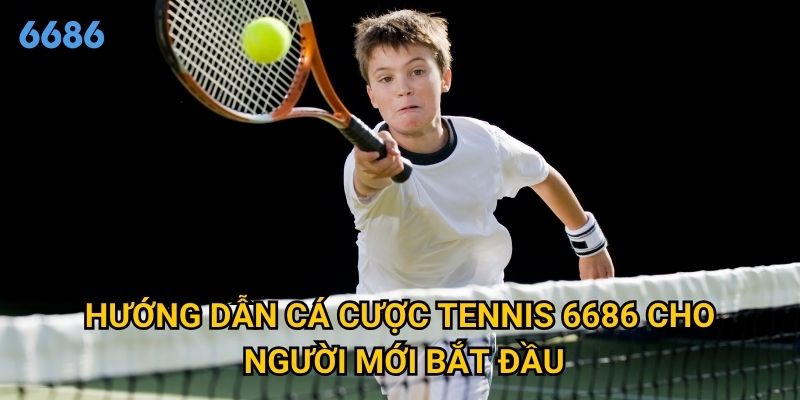 Vì sao cá cược tennis được xem là môn dễ thắng nhất tại 6686? 2 Hướng dẫn cá cược tennis 6686 cho người mới bắt đầu