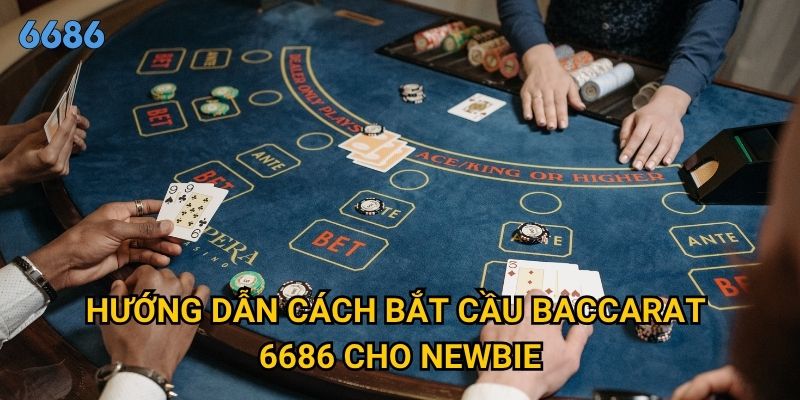 Cách bắt cầu baccarat nào hiệu quả nhất tại 6686? 2 Hướng dẫn cách bắt cầu baccarat 6686 xn cho newbie
