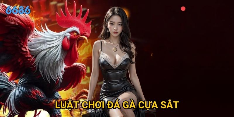Luật chơi đá gà cựa sắt có gì khác biệt so với đá gà thường tại 6686?