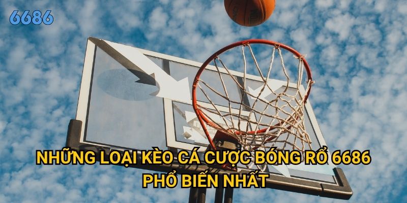 Làm sao để cá cược bóng rổ tại 6686 mang lại lợi nhuận cao? 2 Những loại kèo cá cược bóng rổ 6686 phổ biến nhất?